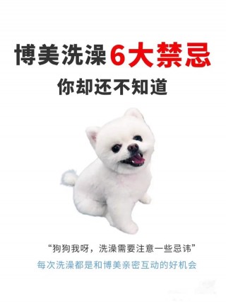 小狗狗能洗澡吗，（小狗狗能洗澡吗冬天）