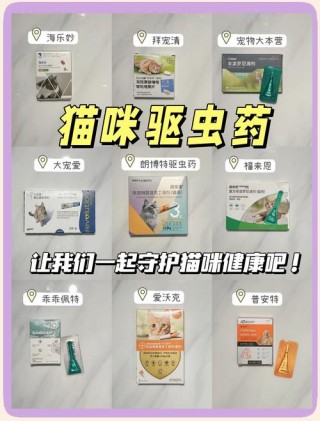 猫咪体外驱虫药排名？猫咪体外驱虫药品牌（最新）