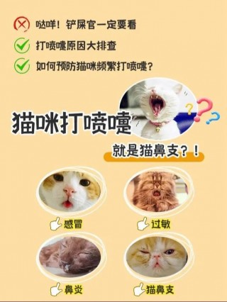 猫咪老是打喷嚏？猫咪老是打喷嚏流鼻涕吃什么药（最新）