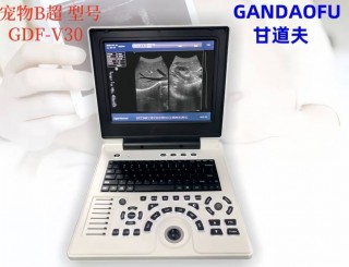 猫咪怀孕做b超多少钱，猫怀孕做b超的费用？