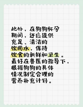 狗狗怀孕需要注意什么，狗狗怀孕需要注意什么问题？