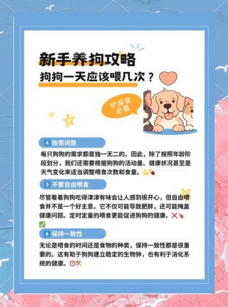 狗狗拉稀了要禁食多久，（小狗一拉稀就活不了了吗）