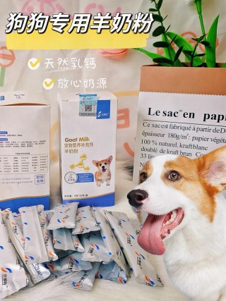 人喝的奶粉狗狗能喝吗，（人的奶粉狗能吃吗）