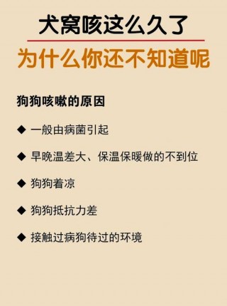 狗狗干咳干呕咔精神好？狗狗干咳干呕咔精神好可以配种吗（最新）