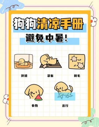 夏天怎么让狗狗凉快，（夏天怎么给狗狗保暖）