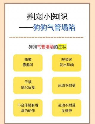 狗狗气管塌陷吃什么药，狗狗气管塌陷吃什么药不疼？