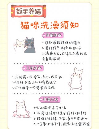 怎么给小猫咪洗澡，小猫怎么给她洗澡？
