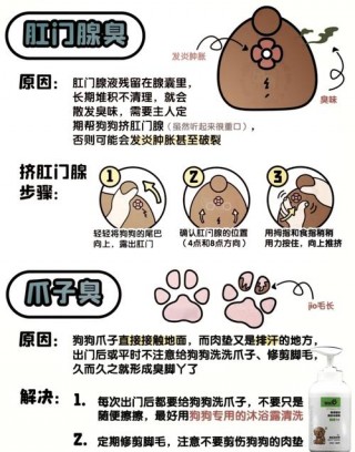 怎么去除狗狗的尿骚味，（怎样清除狗狗的尿骚味）