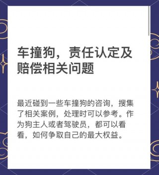 狗狗被车撞了怎么赔偿？狗狗被车撞了还能救活吗（最新）