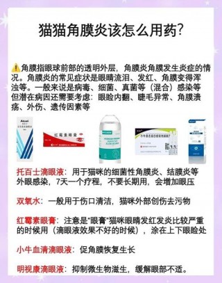 猫咪角膜炎怎么治疗？猫咪角膜炎的症状图片（最新）