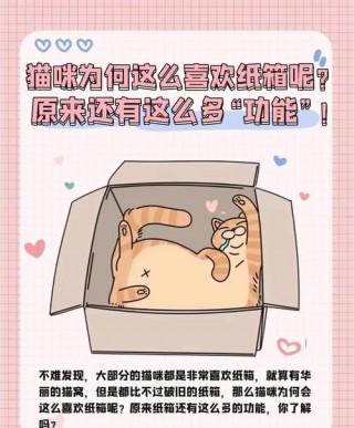 猫咪为什么喜欢纸箱，（猫咪为啥喜欢纸箱）