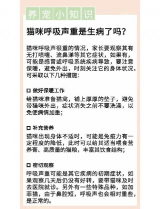 猫咪睡觉呼吸声很大？我家猫睡觉呼吸声很重（最新）