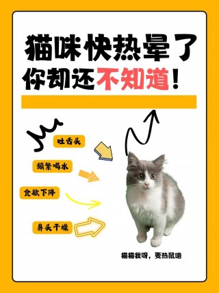 猫咪热的吐舌头怎么办，猫热的吐舌头有事吗？