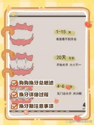 狗狗几个月开始掉牙？狗狗几个月掉犬牙（最新）
