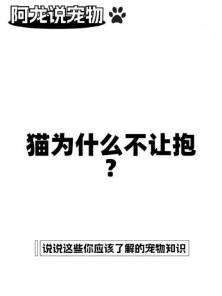猫咪为什么不喜欢被抱，猫咪为什么不喜欢被抱还得挨着睡？