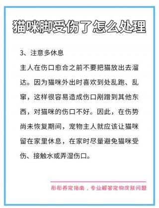 猫咪腿受伤了怎么办？猫咪腿伤了多久可以恢复好（最新）