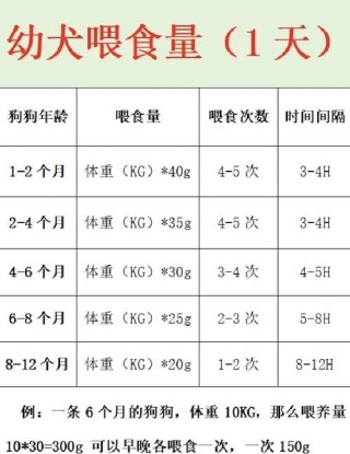 小狗狗几个月可以吃干狗粮？小狗崽几个月能吃干狗粮（最新）