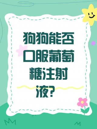 狗狗能喝葡萄糖水吗？狗可不可以喝葡萄糖（最新）