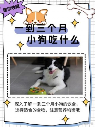 狗狗吃了塑料怎么办，狗吃了塑料要紧不？