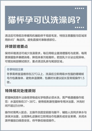 猫咪怀孕了可以洗澡吗？猫咪怀孕了可以洗澡吗猫猫饲养指南（最新）