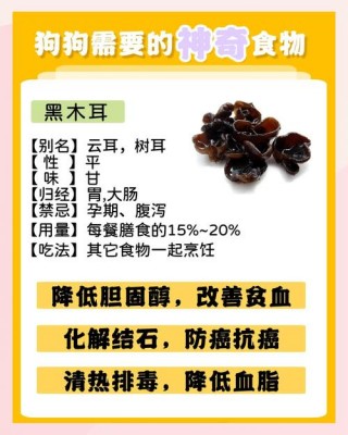 狗狗可以吃黑木耳吗，（狗狗可以吃黑木耳吗?）
