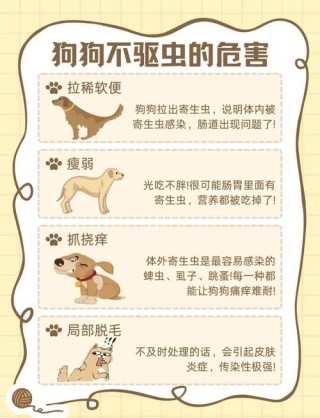 狗狗多长时间吃一次驱虫药，狗狗多久驱虫药一次?？