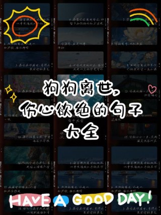 怎么接受狗狗的离去？狗主人怎么释怀狗狗的离去（最新）