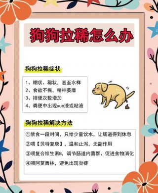 狗狗拉稀能吃狗粮吗，狗狗拉肚子时能吃狗粮吗？