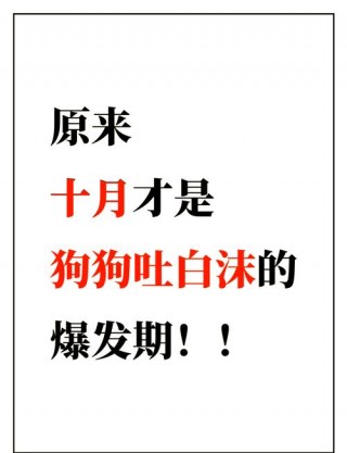 狗狗拉血是什么病，小狗拉血了是什么病?怎么治？