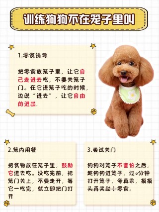 怎么防止狗狗乱叫，（怎么防止狗狗乱叫扰民）