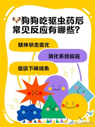 狗狗吃了驱虫药有什么反应？狗狗吃了驱虫药的不良反应（最新）
