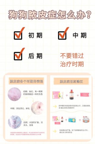 狗狗脓皮症用什么药？狗狗脓皮症症状用药（最新）