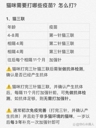 猫咪打针多少钱？猫咪打针打什么部位（最新）