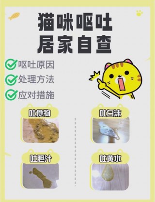 猫咪干呕吐白沫口水，猫咪干呕吐白沫口水多怎么办？