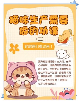 怎样帮助猫咪生产？怎样有助于猫咪生产（最新）