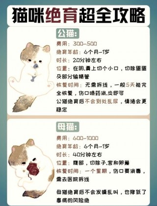 绝育手术猫咪多少钱，（绝育猫咪要多少钱）