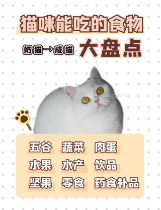猫咪可以吃蜂蜜吗，猫咪可以吃蜂蜜吗百度百科？