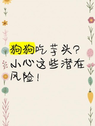 狗狗能吃芋头吗，（狗狗吃芋头的好处）