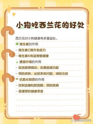 狗狗能吃西兰花吗？狗狗可以吃西兰花?（最新）