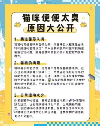 猫咪拉屎很臭什么原因，猫咪拉屎非常臭什么原因？