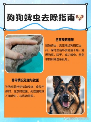 狗狗吃错药了怎么办，狗狗吃错药了会怎么样？