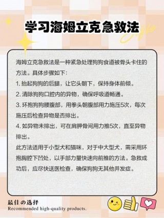 狗狗吃东西卡住了怎么办，（狗狗吃东西卡住了怎么办干呕）