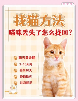 猫咪走丢怎么办，猫咪走丢怎么办法找回来？