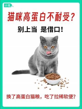 猫咪可以吃蛋白吗？猫咪可以吃蛋白吗会胖吗（最新）