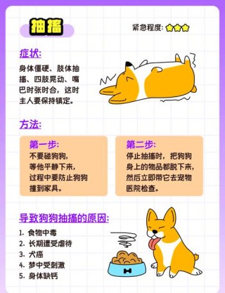 狗狗缺钙怎么补，狗狗缺钙吃什么补钙最快？