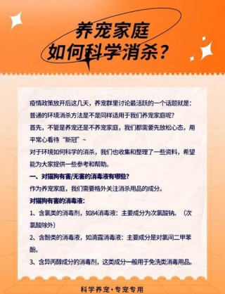 狗狗84中毒什么症状，狗狗中84消毒液的毒是什么症状？