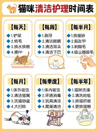 猫咪多久上一次厕所，猫咪多久上一次大便？