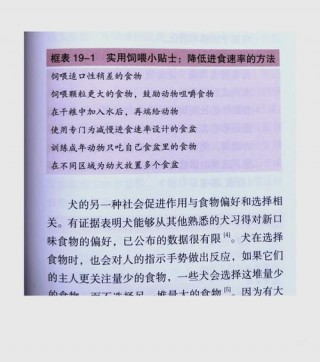 狗狗进食太快怎么办，（狗子进食太快）