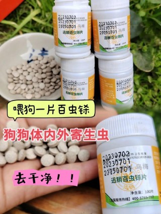 狗狗吃什么驱虫药好？狗狗吃什么驱虫药好一点（最新）