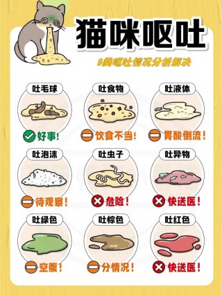 猫咪经常吐是什么原因，（猫咪经常吐是为什么）